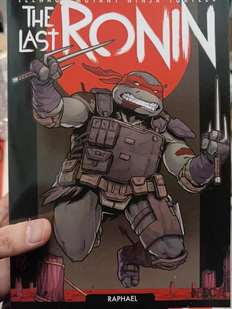 NECA The Last Ronin Raphael 