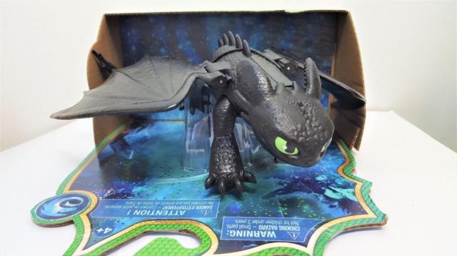 Dreamworks Dragons, Toothless Dragon