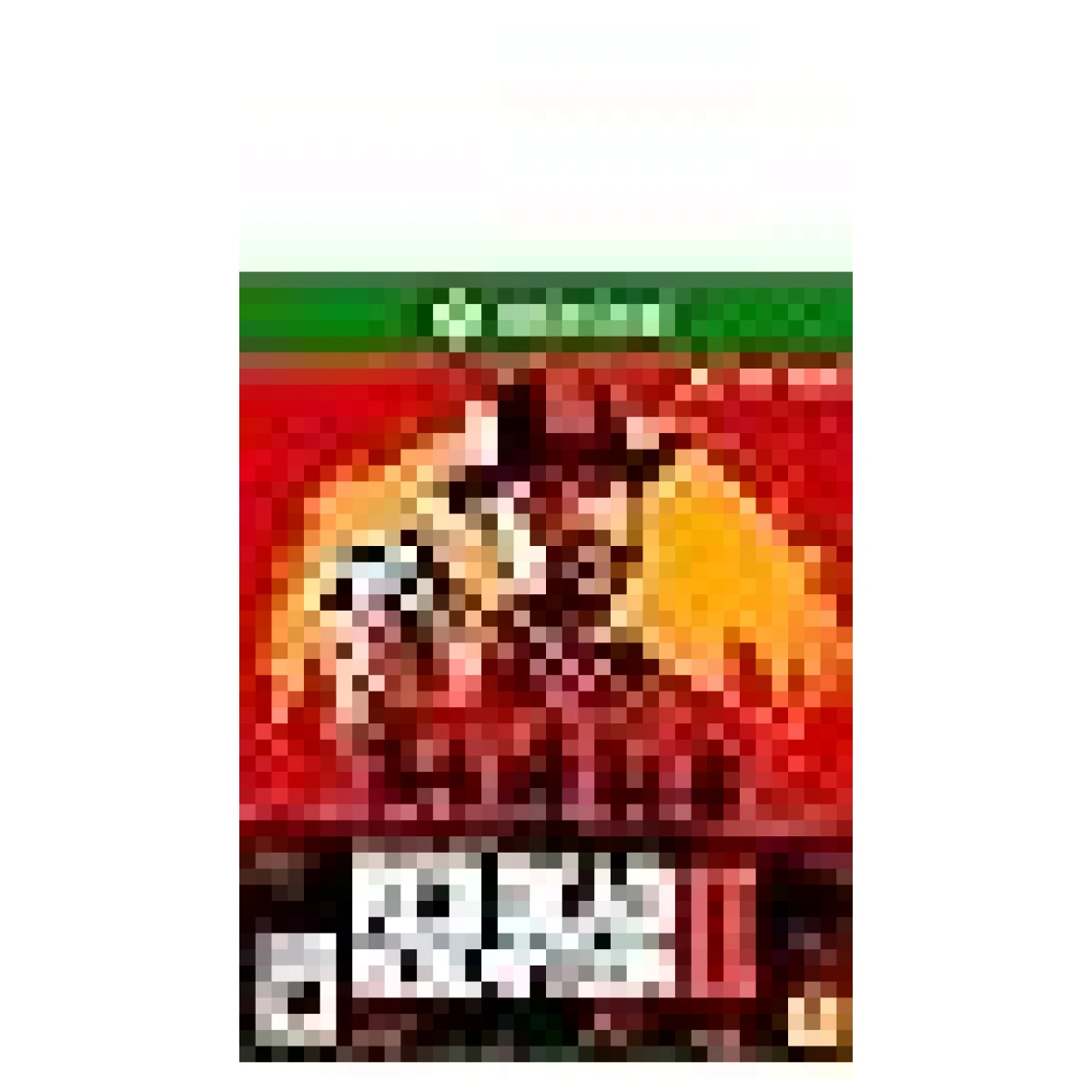 Red Dead Redemption 2 XB1